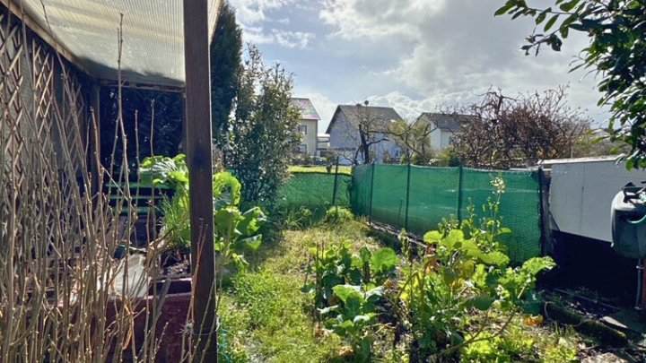 Freiistehendes gepflegtes 2-3 FH mit Wintergarten, Garage, sofort verfügbar