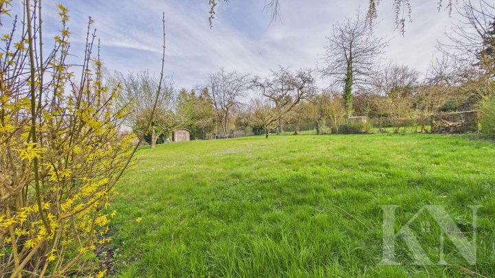 Gepflegte 2-3 Zimmer-Küche-Bad-Wohnung in ruhiger Lage