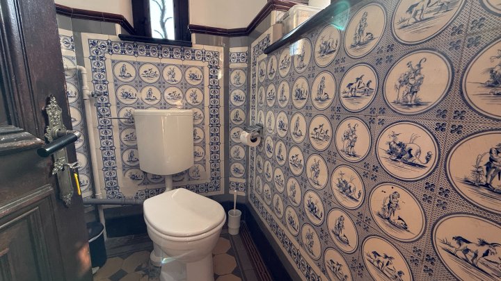 HISTORISCHE RÄUME DER VILLA SCHWINN – Gewerbefläche im EG in 66482 Zweibrücken sucht Liebhaber