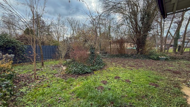 KLOSTERSTADT HORNBACH- Einfamilienhaus mit zusätzlich 2 Ferienwohnungen, Grundstück und Carport