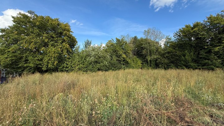 AM JACOBYBERG - Baugrundstücke in bester Wohnlage von 66482 Zweibrücken-Bubenhausen