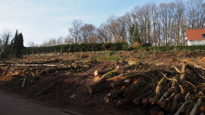 SEHR RUHIGE UND BESTE WOHNLAGE- Baugrundstück Zweibrücken–Eitersberg