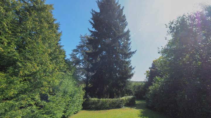 TOP LAGE IN ZWEIBRÜCKEN STADT - letztes Baugrundstück in ruhiger Lage und Zentrumsnähe