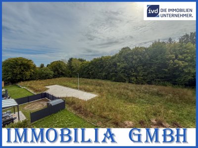 Cover Immobilia