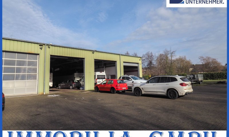 GEWERBE - Interessante Gewerbehalle mit Hebebühne und Waschanlage in 66482 Zweibrücken