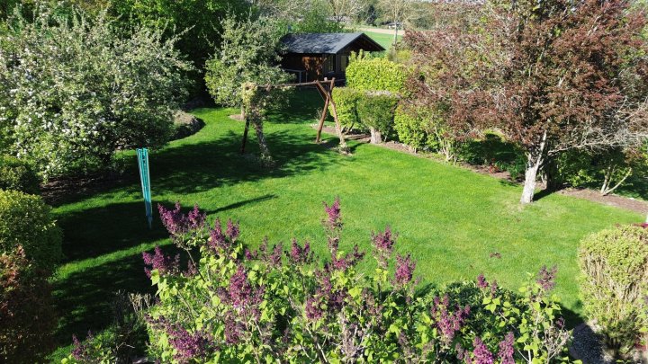 Perfektes Familienheim im Luftkurort Thalfang – Gepflegtes Haus mit Terrasse und viel Grün