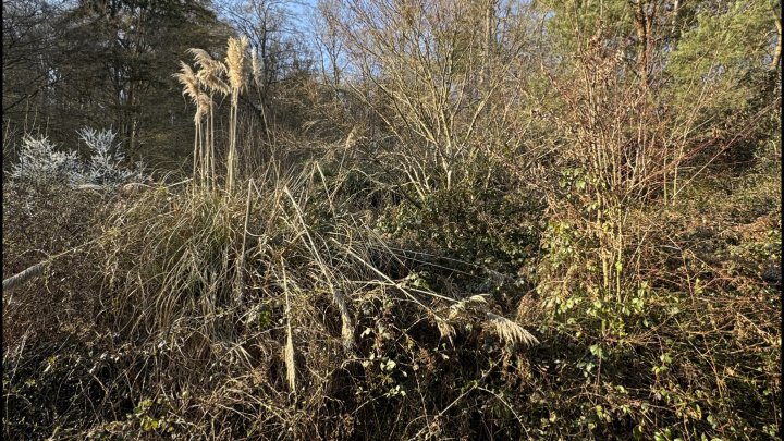 Sanierungsbedürftiges Einfamilienhaus in ruhiger Lage von Beckingen - Erbringen
